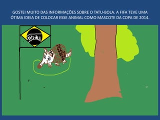 GOSTEI MUITO DAS INFORMAÇÕES SOBRE O TATU-BOLA. A FIFA TEVE UMA
ÓTIMA IDEIA DE COLOCAR ESSE ANIMAL COMO MASCOTE DA COPA DE 2014.
 