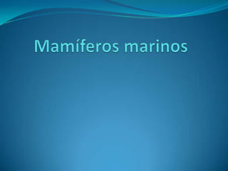 Mamíferos marinos 
