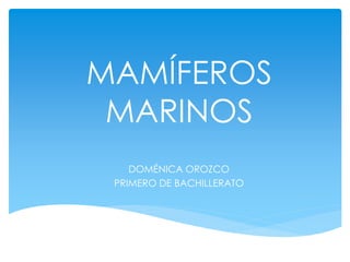 MAMÍFEROS
MARINOS
DOMÉNICA OROZCO
PRIMERO DE BACHILLERATO
 