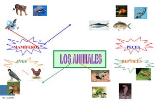 MAMÍFEROS     PECES


             AVES    REPTILES




By: ALONSO
 