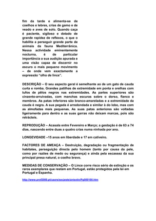 Mamíferos terrestre da floresta tropical