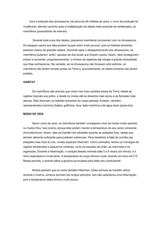 Mamíferos terrestre da floresta tropical