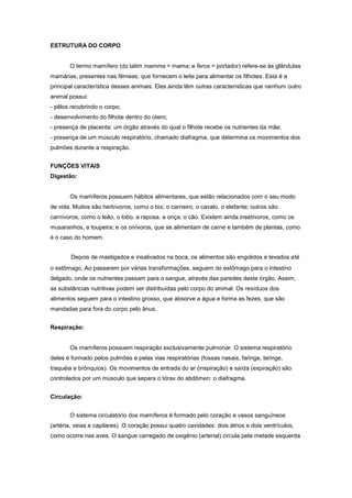 Mamíferos terrestre da floresta tropical