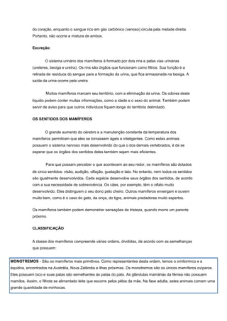 Mamíferos terrestre da floresta tropical