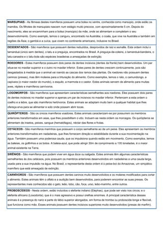 Mamíferos terrestre da floresta tropical