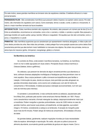 Mamíferos terrestre da floresta tropical