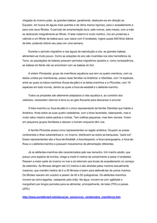 Mamíferos terrestre da floresta tropical