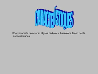 Són vertebrats carnivors i alguns herbivors. La majoria tenen dents
especialitzades.
 