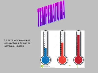 La seva temperatura es
constant es a dir que es
sempre el mateix
 