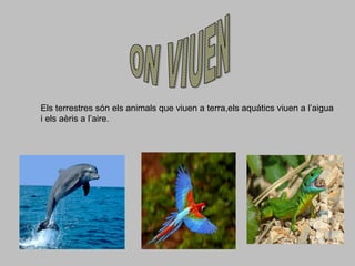 Els terrestres són els animals que viuen a terra,els aquátics viuen a l’aigua
i els aèris a l’aire.
 