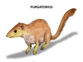 PURGATORIUS
 