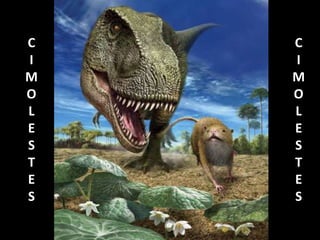 C
I
M
O
L
E
S
T
E
S
C
I
M
O
L
E
S
T
E
S
 