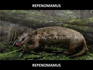 REPENOMAMUS
REPENOMAMUS
 