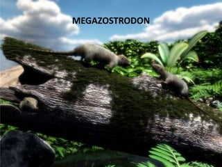 MEGAZOSTRODON
 