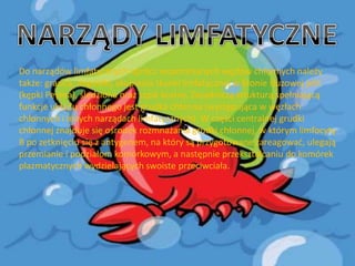 Do narządów limfatycznych oprócz wspomnianych węzłów chłonnych należy
także: grasica, migdałki, skupienia tkanki limfatycznej w błonie śluzowej jelit
(kępki Peyera), śledziona oraz szpik kostny. Zasadniczą strukturą spełniającą
funkcje układu chłonnego jest grudka chłonna (występująca w węzłach
chłonnych i innych narządach limfatycznych). W części centralnej grudki
chłonnej znajduje się ośrodek rozmnażania grudki chłonnej, w którym limfocyty
B po zetknięciu się z antygenem, na który są przygotowane zareagowad, ulegają
przemianie i podziałom komórkowym, a następnie przekształcaniu do komórek
plazmatycznych wydzielających swoiste przeciwciała.

 