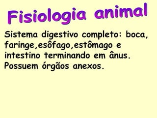 Sistema digestivo completo: boca,
faringe,esôfago,estômago e
intestino terminando em ânus.
Possuem órgãos anexos.
 