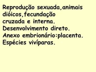 Reprodução sexuada,animais
dióicos,fecundação
cruzada e interna.
Desenvolvimento direto.
Anexo embrionário:placenta.
Espécies vivíparas.
 