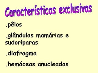 .pêlos
.glândulas mamárias e
sudoríparas
.diafragma
.hemáceas anucleadas
 