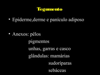 Tegumento

• Epiderme,derme e panículo adiposo

• Anexos: pêlos
         pigmentos
         unhas, garras e casco
         glândulas: mamárias
                   sudoríparas
                   sebáceas
 