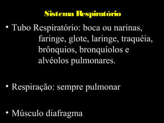 Sistema Respiratório
• Tubo Respiratório: boca ou narinas,
        faringe, glote, laringe, traquéia,
        brônquios, bronquíolos e
        alvéolos pulmonares.

• Respiração: sempre pulmonar

• Músculo diafragma
 