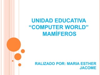 UNIDAD EDUCATIVA
“COMPUTER WORLD”
MAMÍFEROS
RALIZADO POR: MARIA ESTHER
JACOME
 