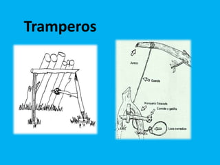 Tramperos
 