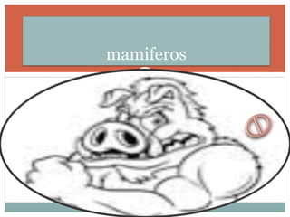 mamiferos
 