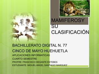 MAMIFEROSY
SU
CLASIFICACIÓN
BACHILLERATO DIGITAL N. 77
CINCO DE MAYO HUEHUETLA
APLICACIONES INFORMATICAS
CUARTO SEMESTRE
PROFRE: FRASCISCO DEGANTE ESTEBES
ESTUDIANTE: MIGUEL ANGEL SANTIAGO MARQUEZ
 
