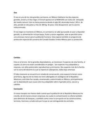 Oso
El oso es uno de los más grandes carnívoros, en México habitaron las dos especies
grandes, Grizzli y el Oso negro. El Grizzli aparece en la NOM-059 con status de extirpado
del medio natural. Este no tiene presencia desde el siglo XX, alcanzaba hasta 1.90 m de
alto, parado en dos patas y más de 300 kg de peso. Este desapareció por la cacería
indiscriminada.
El oso negro se mantiene en México, es carnívoro y se sabe que puede al cazar y depredar
ganado, su alimentación incluye bayas, frutos y varios vegetales, este se percibió como
una amenaza menor para la población humana. Esta especie también es programa de
protección especial del convenio de Canadá-Estados Unidos-México para su protección.
Canidos
Esta es la tercera de los grandes depredadores, se reconocen 4 especies de esta familia, el
coyote y la zorra no están considerados en peligro. Son especies muy adaptables y
esquivas, con altos potenciales reproductivos y omnívoros. Dos especies más de la familia
son la zorra del desierto la cual se reporta 6 subespecies, todas bajo amenaza.
El lobo mexicano se encuentra en estado de conservación, esta especie la tienen como
prioritaria, algunos de los lobos los tiene albergados en zoológicos de la República
Mexicana, esté lobo fue cazado, envenenado y exterminado en México, principalmente
por la depredación que causo está muy adaptable sobre el ganado ovino, vacuno y
caballar.
Conclusión
En estos tiempos nos hemos dado cuenta que la población de la República Mexicana ha
crecido, de tal manera crecen empresas, las cuales la contaminación es efecto también
para deterioro de bosques, y también como crece la corrupción en las construcciones,
terrenos, licencias y a todo esto por lo que se van extinguiendo los animales.
 