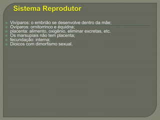  Vivíparos: o embrião se desenvolve dentro da mãe;
 Ovíparos: ornitorrinco e équidna;
 placenta: alimento, oxigênio, eliminar excretas, etc.
 Os marsupiais não tem placenta;
 fecundação: interna;
 Dioicos com dimorfismo sexual.
 
