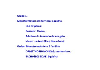Grupo 1.
Monotrematos: ornitorrinco; équidna
      São ovíparos;
      Possuem Cloaca;
      Adulto é do tamanho de um gato;
      Vivem na Austrália e Nova Guiné.
Ordem Monotremata tem 2 familias
      ORNITTHORHYNCHIDAE: ornitorrinco;
      TACHYGLOSSIDAE: équidna
 
