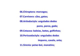 06.Chiroptera: morcegos;
07.Carnivora: cães, gatos;
08.Artiodactyla: ungulados dedos
               pares, porco, gado;
09.Cetacea: baleias, botos, golfinhos;
10.Perissodactyla: ungulados dedos
                impares, cavalo, anta;
11.Sirenia: peixe-boi, manatins;
 