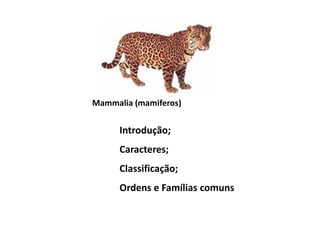 Mammalia (mamiferos)


      Introdução;
      Caracteres;
      Classificação;
      Ordens e Famílias comuns
 