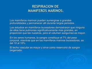 RESPIRACION DE  MAMIFEROS MARINOS. Los mamíferos marinos pueden sumergirse a grandes profundidades y permanecer allí durante largos periodos. Los estudios en mamíferos buceadores demostraron que ninguno de ellos tiene pulmones significativamente mas grandes, en proporción que los nuestros, pero el volumen sanguíneo es mayor.  En los seres humanos, la sangre constituye el 7% del peso corporal, mientras que en los mamíferos marinos buceadores, es del 10 al 15%.  El lecho vascular es mayor y sirve como reservorio de sangre oxigenada. 
