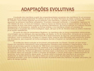 Adaptações evolutivasA evolução dos mamíferos a partir dos sinapsídeos(répteis ancestrais dos mamíferos) foi um processo gradual que levou aproximadamente 70 milhões de anos, do médio Permiano ao médio Jurássico. Na metade do Triássico, havia muitas espécies que se pareciam com mamíferos, e apenas no início do Jurássico aparecem os primeiros mamíferos verdadeiros. O primeiro marsupial conhecido, o Sinodelphys, apareceu há 125 milhões de anos, no início do Cretáceo; mais ou menos na mesma época se desenvolvem os Eutheria, e dois milhões de anos mais tarde surgiram os primeiros Monotremos. Na maciça extinção do Cretáceo-Terciário desaparecem os dinossauros, restando as formas aviárias, e os mamíferos iniciam um processo de diversificação e ocupação dos nichos ecológicos vagos, até que no fim do Terciário todas as ordens modernas já se haviam estabelecido.		Do ponto de vista da nomenclatura filogênica, os mamíferos são os únicos sinapsídeos sobreviventes, uma linhagem que se distinguiu dos sauropsídeos, os répteis, no fim do Carbonífero, tornando-se os maiores e mais comuns vertebrados do período Permiano.[2] O desenvolvimento de algumas características típicas dos mamíferos, como a endotermia, os pelos e o cérebro maior, pode ter sido estimulado pelo predomínio anterior dos dinossauros, que ocupavam os nichos ecologicos diurnos e forçaram os mamaliformes para os nichos noturnos.		As evidências dessa evolução se encontram principalmente nos fósseis. Durante um bom tempo fósseis dos mamíferos mesozóicos e seus antecessores imediatos eram escassos e fragmentários, mas o estudo se aprofundou quando na década de 1990 foram encontrados diversos achados importantes, especialmente na China. As novas técnicas científicas como a filogenética molecular também deram contribuição significativa, esclarecendo e fixando pontos de divergência evolutiva que levaram ao surgimento de espécies modernas. Embora as glândulas mamárias sejam a assinatura nos mamíferos modernos, pouco se conhece sobre sua evolução e sobre o processo de lactação, e menos ainda sobre o desenvolvimento do neocórtex, outro traço distintivo desse grupo. O estudo sobre a evolução dos mamíferos se concentra atualmente no desenvolvimento dos ossos médios do ouvido a partir da articulação da mandíbul dos ancestrais amniotas, junto com a análise da evolução da postura ereta dos membros, do palato secundário, do pelo e do sangue quente.