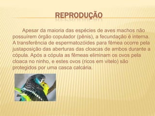 Sistema respiratório eficiente, com pulmões ligados a sacos aéreos, distribuídos entre os órgãos, úteis na retenção do ar, permitindo extração de oxigênio mesmo em grandes altitudes, assim como a dissipação do calor gerado pelo elevado metabolismo;	As características do sistema circulatório, como o coração com quatro câmaras e a completa separação das circulações venosa e arterial;	A eliminação dos excretas na forma de pequenos corpos esféricos esbranquiçados, compostos de ácido úrico, que ficam misturado com as fezes, evitando a formação de grande volume de urina liquida; a ausência de bexiga urinaria, sendo exceção o avestruz;	Total desenvolvimento dos ovos fora do corpo materno;	A excelente visão, com grande acuidade visual e rápida acomodação de foco;	Voz e audição elaboradas, associadas com a necessidade de comunicação a grandes distâncias.	O corpo das aves tem forma e tamanho muito variáveis. A cabeça geralmente fica na extremidade de um pescoço flexível e é capaz de girar 360 graus em torno de seu eixo. Os membros anteriores são as asas, que possuem penas mais longas, denominadas rêmiges, próprias para o vôo. 	Os membros posteriores, as patas, têm muitos músculos na parte superior, enquanto a porção inferior apresenta tendões e é revestida por escamas córneas.	Na cauda curta podem existir longas penas, dispostas em leque. No bico pontiagudo, de revestimento córneo, há um par de narinas. Os olhos, grandes e laterais, possuem duas pálpebras e uma membrana nictitante. Existe uma abertura auditiva atrás de cada olho.