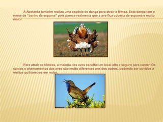 Relações ecológicasPredatismo: falcão caçando raposas.	+/- (juntos)      -/o (separadas) Mutualismo: ave limpando os dentes do jacaré onde os dois são beneficiados.Protocooperação     +/+ ( juntos)      O/O   (separadas)