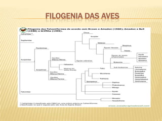 Herbivoria:vacas comendo o pasto. 