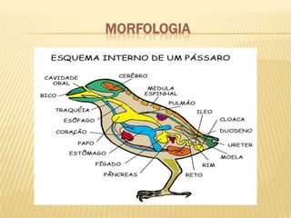 . +/- (juntos)   -/o (separadas)