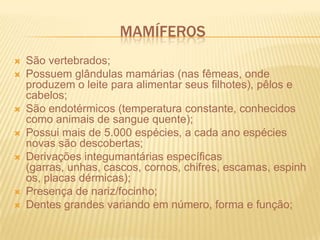 mamíferosSão vertebrados;Possuem glândulas mamárias (nas fêmeas, onde produzem o leite para alimentar seus filhotes), pêlos e cabelos;São endotérmicos (temperatura constante, conhecidos como animais de sangue quente);Possui mais de 5.000 espécies, a cada ano espécies novas são descobertas;Derivações integumantárias específicas (garras, unhas, cascos, cornos, chifres, escamas, espinhos, placas dérmicas);Presença de nariz/focinho;Dentes grandes variando em número, forma e função;