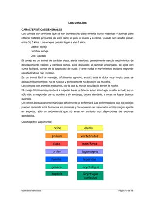 LOS CONEJOS
CARACTERÍSTICAS GENERALES
Los conejos son animales que se han domesticado para tenerlos como mascotas y además para
obtener distintos productos de ellos como el pelo, el cuero y la carne. Cuando son adultos pesan
entre 3 y 5 kilos. Los conejos pueden llegar a vivir 8 años.
Macho: conejo
Hembra: coneja
Cría: Gazapo
El conejo es un animal de carácter vivaz, alerta, nervioso; generalmente ejecuta movimientos de
desplazamiento rápidos y carreras cortas, poco dispuesto al caminar prolongado, se agita con
suma facilidad, carece de la capacidad de sudar, y ante ruidos o movimientos bruscos responde
escabulléndose con prontitud.
Es un animal fácil de manejar, difícilmente agresivo, estoico ante el dolor, muy limpio, pues se
acicala frecuentemente, no es ruidoso y generalmente no destruye los muebles.
Los conejos son animales nocturnos, por lo que su mayor actividad la tienen de noche.
El conejo difícilmente aprenderá a respetar áreas, a defecar en un sólo lugar, a estar echado en un
sólo sitio, a responder por su nombre y sin embargo, debes intentarlo, a veces se logran buenos
avances.
Un conejo adecuadamente manejado difícilmente se enfermará. Las enfermedades que los conejos
pueden transmitir a los humanos son mínimas y no requieren ser vacunados contra ningún agente
en especial, sólo se recomienda que no entre en contacto con deyecciones de roedores
domésticos.
Clasificación ( Lagomorfos)

reino
philium

vertebrados

clase

mamíferos

orden

lagomorpha

familia

leporidae

genero

oryctolagus

especie

Mamíferos herbívoros

animal

Oryctlagus
cuniculus

Página 10 de 16

 