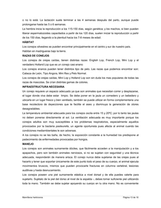 o no lo está. La lactación suele terminar a las 4 semanas después del parto, aunque puede
prolongarse hasta las 5 o 6 semanas.
La hembra inicia la reproducción a los 115-150 días, según genética; y los machos, si bien pueden
liberar espermatozoides capacitados a partir de los 120 días, suelen iniciar la reproducción a partir
de los 150 días, llegando a la plenitud hacia los 7-8 meses de edad.
HÁBITAT
Los conejos silvestres se pueden encontrar principalmente en el centro y sur de nuestro país.
Habitan en madrigueras bajo la tierra.
RAZAS DE CONEJOS
Los conejos de orejas caídas, tienen distintas razas: English Lop, French Lop, Mini Lop y el
verdadero Holland Lop que es un conejo casi enano
Los conejos enanos pueden tener distintos tipo de pelo. Las razas que podemos encontrar son:
Cabeza de León, Tipo Angora, Mini Rex y Pelo Normal.
Los conejos de orejas caídas, Mini Lop y Holland Lop son sin duda los mas populares de todas las
razas de mascotas. Se crían distintas gamas de colores.
INFRAESTRUCTURA NECESARIA
Un conejo requiere un espacio adecuado ya que son animales que necesitan correr y desplazarse,
el lugar donde viva debe estar limpio. Se debe poner en la jaula un comedero y un bebedero y
ubicarla en un lugar fresco y bien ventilado, también se puede utilizar en forma complementaria una
base recolectora de deyecciones que te facilite el aseo y disminuya la generación de olores
desagradables.
La temperatura ambiental adecuada para los conejos oscila entre 15 y 20ºC; por lo tanto las jaulas
no deben ponerse directamente al sol. La ventilación adecuada es muy importante porque los
conejos adultos son muy susceptibles a los problemas respiratorios, especialmente aquellos
provocados por la bacteria pasteurella, un agente oportunista pues afecta al animal cuando las
condiciones mediambientales le son adversas.
A los conejos no se les baña, de hecho, la exposición constante a la humedad los predispone al
padecimiento de enfermedades provocadas por hongos.
MANEJO
Los conejos son animales sumamente dóciles, que fácilmente acceden a la manipulación y a los
apapachos, pero son también animales nerviosos, si no se sujetan con seguridad y una técnica
adecuada, responderán de manera arisca. El conejo nunca debe sujetarse de las orejas pues al
hacerlo y tener que soportar únicamente de este punto todo el peso de su cuerpo, el animal ejecuta
movimientos bruscos, mismos que pueden provocarle fracturas en columna vertebral, lesiones
auditivas y hasta desnucamiento.
Los conejos poseen una piel sumamente elástica a nivel dorsal y de ella puedes valerte para
sujetarlo. Sujétalo de la piel del dorso al nivel de la espalda -, debes tomar suficiente piel utilizando
toda la mano. También se debe sujetar apoyando su cuerpo en tu otra mano. No es conveniente

Mamíferos herbívoros

Página 13 de 16

 