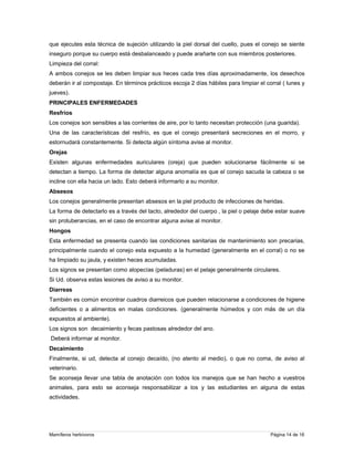 que ejecutes esta técnica de sujeción utilizando la piel dorsal del cuello, pues el conejo se siente
inseguro porque su cuerpo está desbalanceado y puede arañarte con sus miembros posteriores.
Limpieza del corral:
A ambos conejos se les deben limpiar sus heces cada tres días aproximadamente, los desechos
deberán ir al compostaje. En términos prácticos escoja 2 días hábiles para limpiar el corral ( lunes y
jueves).
PRINCIPALES ENFERMEDADES
Resfríos
Los conejos son sensibles a las corrientes de aire, por lo tanto necesitan protección (una guarida).
Una de las características del resfrío, es que el conejo presentará secreciones en el morro, y
estornudará constantemente. Si detecta algún síntoma avise al monitor.
Orejas
Existen algunas enfermedades auriculares (oreja) que pueden solucionarse fácilmente si se
detectan a tiempo. La forma de detectar alguna anomalía es que el conejo sacuda la cabeza o se
incline con ella hacia un lado. Esto deberá informarlo a su monitor.
Absesos
Los conejos generalmente presentan absesos en la piel producto de infecciones de heridas.
La forma de detectarlo es a través del tacto, alrededor del cuerpo , la piel o pelaje debe estar suave
sin protuberancias, en el caso de encontrar alguna avise al monitor.
Hongos
Esta enfermedad se presenta cuando las condiciones sanitarias de mantenimiento son precarias,
principalmente cuando el conejo esta expuesto a la humedad (generalmente en el corral) o no se
ha limpiado su jaula, y existen heces acumuladas.
Los signos se presentan como alopecías (peladuras) en el pelaje generalmente circulares.
Si Ud. observa estas lesiones de aviso a su monitor.
Diarreas
También es común encontrar cuadros diarreicos que pueden relacionarse a condiciones de higiene
deficientes o a alimentos en malas condiciones. (generalmente húmedos y con más de un día
expuestos al ambiente).
Los signos son decaimiento y fecas pastosas alrededor del ano.
Deberá informar al monitor.
Decaimiento
Finalmente, si ud, detecta al conejo decaído, (no atento al medio), o que no coma, de aviso al
veterinario.
Se aconseja llevar una tabla de anotación con todos los manejos que se han hecho a vuestros
animales, para esto se aconseja responsabilizar a los y las estudiantes en alguna de estas
actividades.

Mamíferos herbívoros

Página 14 de 16

 