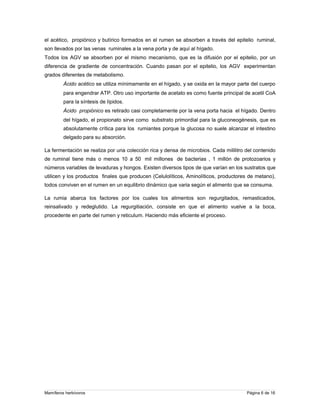 el acético, propiónico y butírico formados en el rumen se absorben a través del epitelio ruminal,
son llevados por las venas ruminales a la vena porta y de aquí al hígado.
Todos los AGV se absorben por el mismo mecanismo, que es la difusión por el epitelio, por un
diferencia de gradiente de concentración. Cuando pasan por el epitelio, los AGV experimentan
grados diferentes de metabolismo.
Ácido acético se utiliza mínimamente en el hígado, y se oxida en la mayor parte del cuerpo
para engendrar ATP. Otro uso importante de acetato es como fuente principal de acetil CoA
para la síntesis de lípidos.
Ácido propiónico es retirado casi completamente por la vena porta hacia el hígado. Dentro
del hígado, el propionato sirve como substrato primordial para la gluconeogénesis, que es
absolutamente crítica para los rumiantes porque la glucosa no suele alcanzar el intestino
delgado para su absorción.
La fermentación se realiza por una colección rica y densa de microbios. Cada mililitro del contenido
de ruminal tiene más o menos 10 a 50 mil millones de bacterias , 1 millón de protozoarios y
números variables de levaduras y hongos. Existen diversos tipos de que varían en los sustratos que
utilicen y los productos finales que producen (Celulolíticos, Aminolíticos, productores de metano),
todos conviven en el rumen en un equilibrio dinámico que varia según el alimento que se consuma.
La rumia abarca los factores por los cuales los alimentos son regurgitados, remasticados,
reinsalivado y redeglutido. La regurgitiación, consiste en que el alimento vuelve a la boca,
procedente en parte del rumen y reticulum. Haciendo más eficiente el proceso.

Mamíferos herbívoros

Página 6 de 16

 