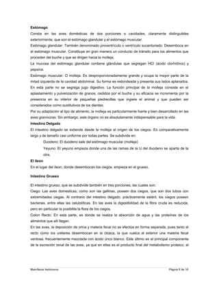 Estómago
Consta en las aves domésticas de dos porciones o cavidades, claramente distinguibles
exteriormente, que son el estómago glandular y el estómago muscular.
Estómago glandular: También denominado proventrículo o ventrículo sucenturiado. Desemboca en
el estómago muscular. Constituye en gran manera un conducto de tránsito para los alimentos que
proceden del buche y que se dirigen hacia la molleja.
La mucosa del estómago glandular contiene glándulas que segregan HCl (ácido clorhídrico) y
pepsina.
Estómago muscular: O molleja. Es desproporcionadamente grande y ocupa la mayor parte de la
mitad izquierda de la cavidad abdominal. Su forma es redondeada y presenta sus lados aplanados.
En esta parte no se segrega jugo digestivo. La función principal de la molleja consiste en el
aplastamiento y pulverización de granos, cedidos por el buche y su eficacia se incrementa por la
presencia en su interior de pequeñas piedrecillas que ingiere el animal y que pueden ser
considerados como sustitutivos de los dientes.
Por su adaptación al tipo de alimento, la molleja es particularmente fuerte y bien desarrollado en las
aves granívoras. Sin embargo, este órgano no es absolutamente indispensable para la vida.
Intestino Delgado
El intestino delgado se extiende desde la molleja al origen de los ciegos. Es comparativamente
largo y de tamaño casi uniforme por todas partes. Se subdivide en:
Duodeno: El duodeno sale del estómago muscular (molleja)
Yeyuno: El yeyuno empieza donde una de las ramas de la U del duodeno se aparta de la
otra.
El íleon
En el lugar del íleon, donde desembocan los ciegos, empieza en el grueso.
Intestino Grueso
El intestino grueso, que se subdivide también en tres porciones, las cuales son:
Ciego: Las aves domesticas, como son las gallinas, poseen dos ciegos, que son dos tubos con
extremidades ciegas. Al contrario del intestino delgado, prácticamente estéril, los ciegos poseen
bacterias, entre ellas las celulolíticas. En las aves la digestibilidad de la fibra cruda es reducida,
pero en particular la posibilita la flora de los ciegos.
Colon Recto: En esta parte, es donde se realiza la absorción de agua y las proteínas de los
alimentos que allí llegan.
En las aves, la deposición de orina y materia fecal no se efectúa en forma separada, pues tanto el
recto como los uréteres desembocan en la cloaca, la que vuelca al exterior una materia fecal
verdosa, frecuentemente mezclada con ácido úrico blanco. Este último es el principal componente
de la excreción renal de las aves, ya que en ellas es el producto final del metabolismo proteico, al

Mamíferos herbívoros

Página 8 de 16

 