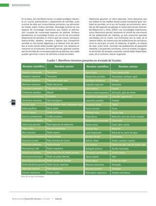 Mamiferos terrestres | PDF