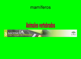 mamíferos Animales vertebrados Eugenio sanchez 