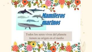 Mamíferos
marinos
Todos los seres vivos del planeta
tienen su origen en el medio
acuático.
 