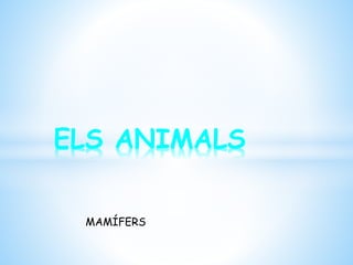 MAMÍFERS
ELS ANIMALS
 