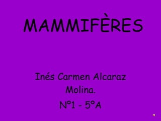 MAMMIFÈRES Inés Carmen Alcaraz Molina. Nº1 - 5ºA 